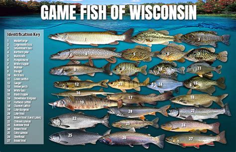 May 3 starts season for most game fish on Wisconsin inland waters.